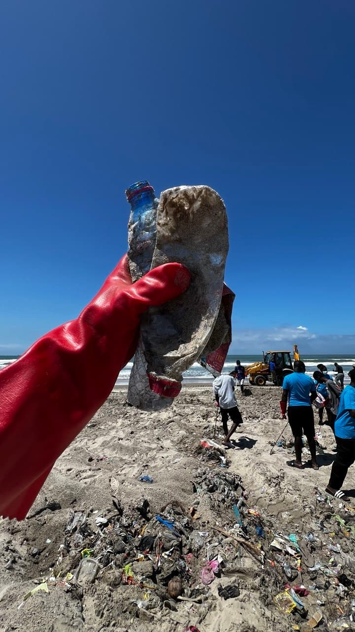 Beach cleanup