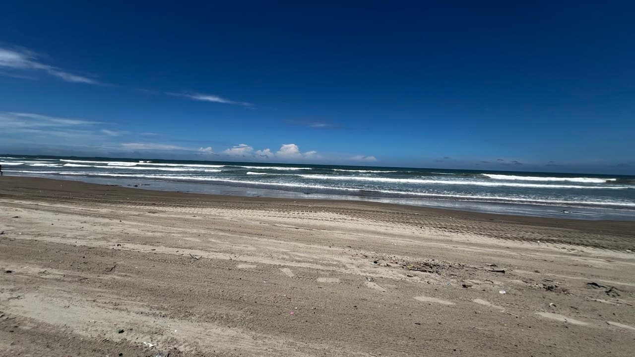 Beach cleanup